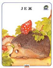 Jež